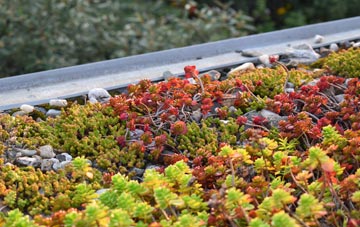 the cost of Thorpe green roof installation