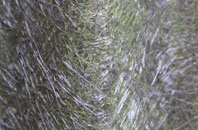 Thorpe fibreglass roof work